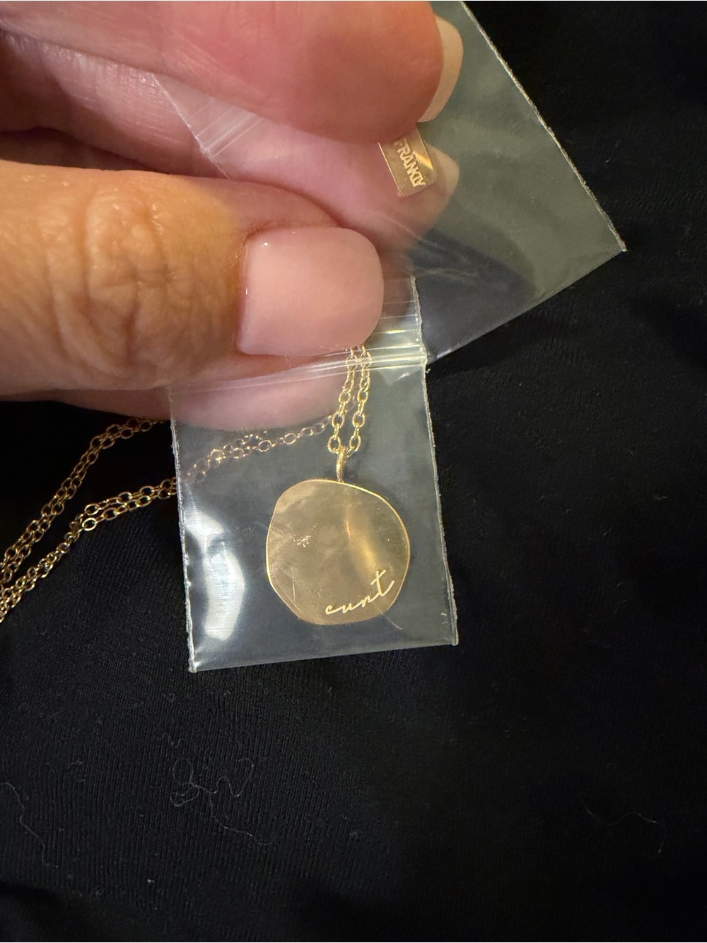 FRANKLY COLLECTIVE 18k Gold Plated C**t Necklace